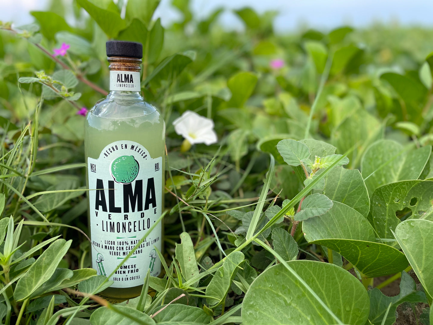 Botella Limoncello Licor de Limon Artesanal - Alma Verde 750ml